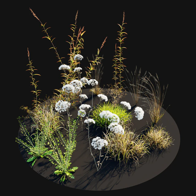 Meadow 10 — Descargar