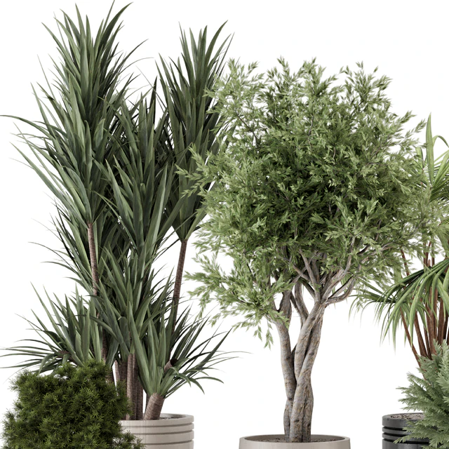 Indoor Plants in Ferm Living Bau Pot Large - Set 817 — Скачать