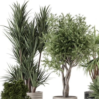 Indoor Plants in Ferm Living Bau Pot Large - Set 817 — Вид 5