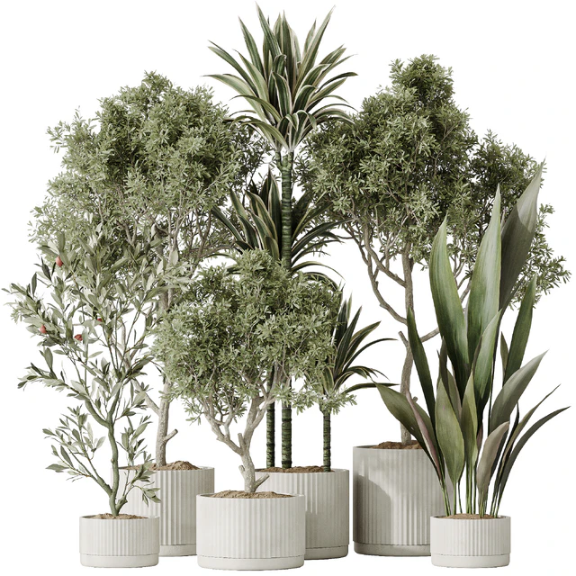 Indoor plants set 63 — Descargar