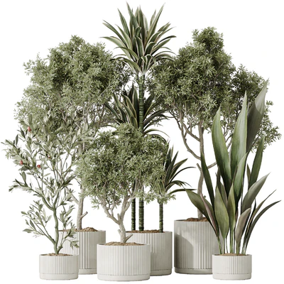 Indoor plants set 63 — Ver 1