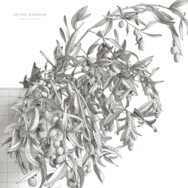 olive garden — Descargar