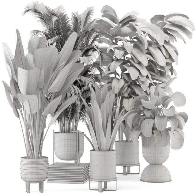 Indoor Plants in Ferm Living Bau Pot Large - Set 572 — Скачать