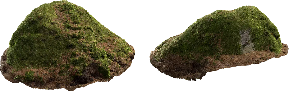 mossy mound 001 — Download