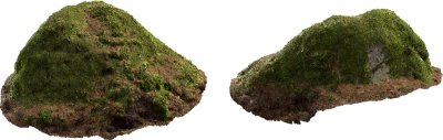 mossy mound 001 — Download