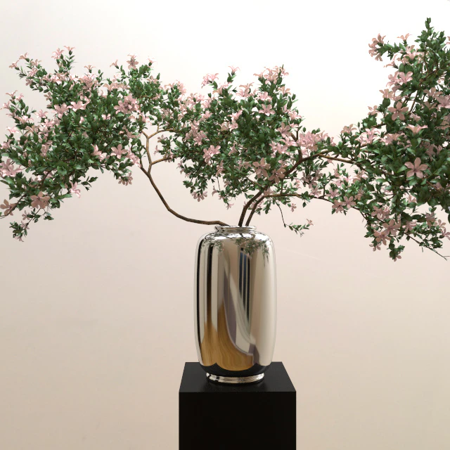Branches of serrisa — Descargar