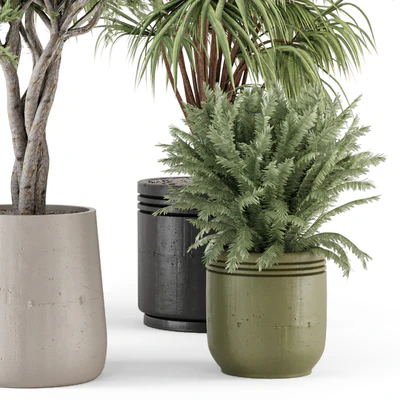 Indoor Plants in Ferm Living Bau Pot Large - Set 817 — Вид 6