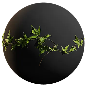 hanging vine 002 — Descargar