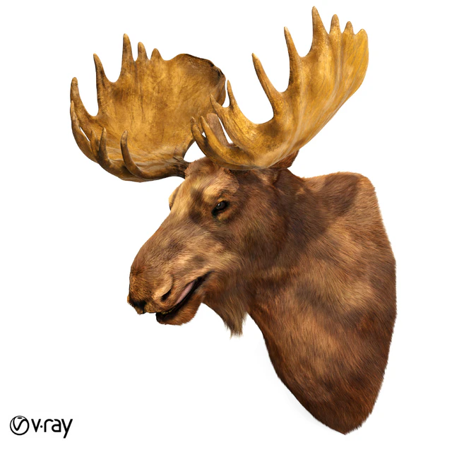Elk head — Descargar