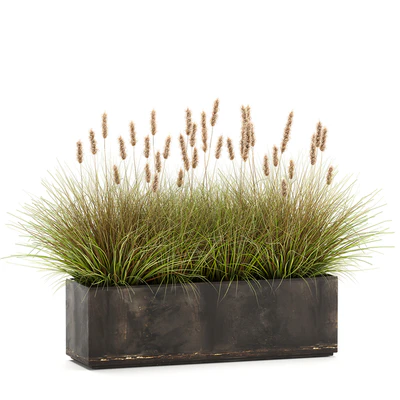 Outdoor metal pot in the bushes Pampas grass, flowerpot, flowerbed, reed. 905. — Ver 3