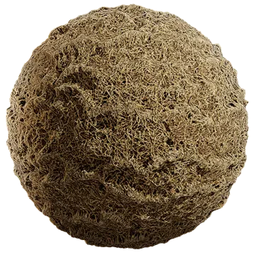 grass dried 012 — Скачать