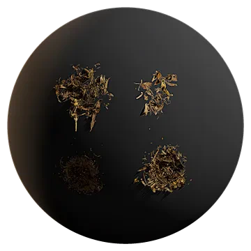 dry leaf debris 002 — Descargar