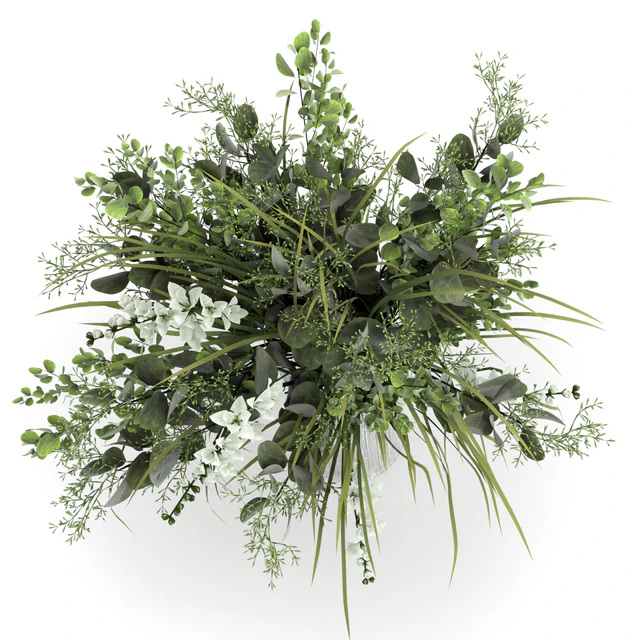 Bouquet — Descargar