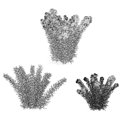 Tiny Wine Ninebark Shrub 3D Model — Вид 3