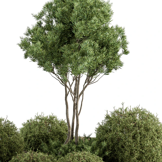 Garden Set Topiary and pine Plants - Outdoor Plants Set 410 — Скачать