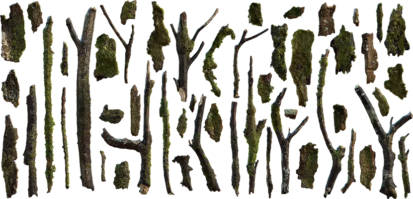 mossy twigs and bark 001 — Скачать