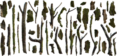 mossy twigs and bark 001 — Скачать