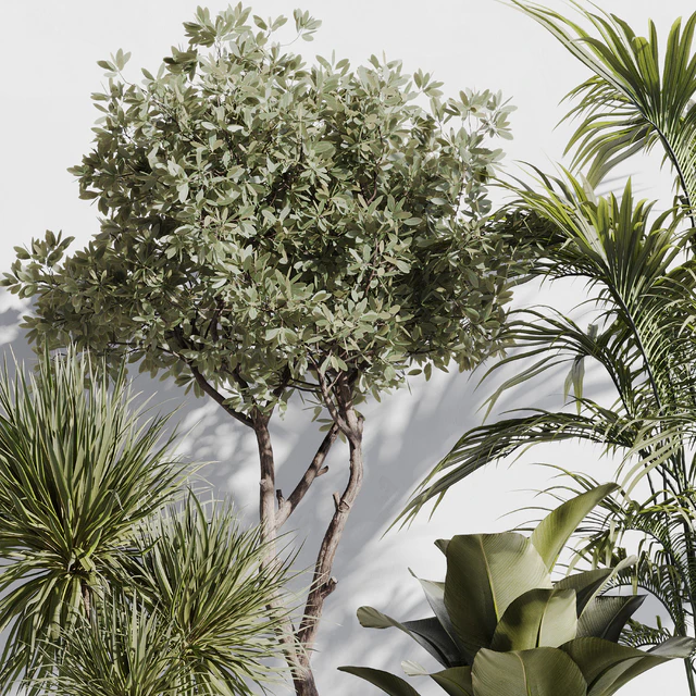 indoor plant set 78 — Descargar