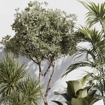 indoor plant set 78 — Ver 3