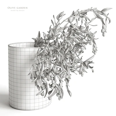 olive garden — Ver 5