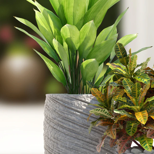 PLANTS 81 — Скачать