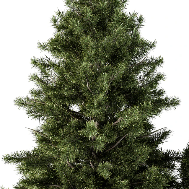 Outdoor Plants tree in Concrete Pot - Set 110 — Descargar