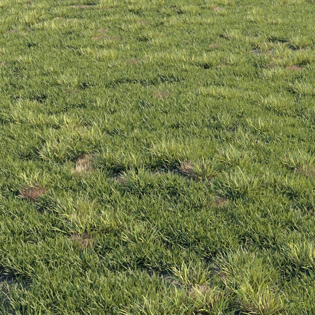 Grass kit 2 — Скачать