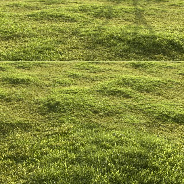 Garden grass — Descargar