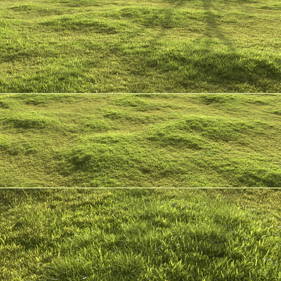 Garden grass — Ver 3