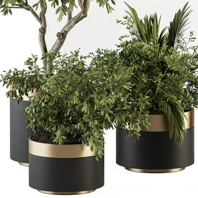 indoor Plant Set 373- Tree and Plant Set in pot — Ver 4