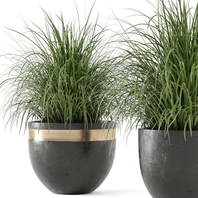 Outdoor Plants Bush  in rusty Concrete Pot - Set 186 — Скачать