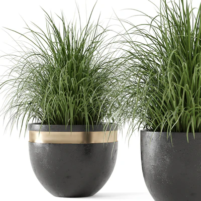 Outdoor Plants Bush  in rusty Concrete Pot - Set 186 — Вид 3
