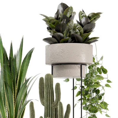 Indoor Plants in rusty Concrete Pot on Metal Shelf - Set 327 — Ver 3