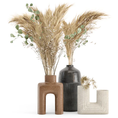 Dry plants 19 - Dried Plantset Pampas with Concrete vase — Ver 1