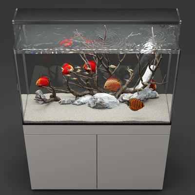 Aquarium discus fish — Ver 3
