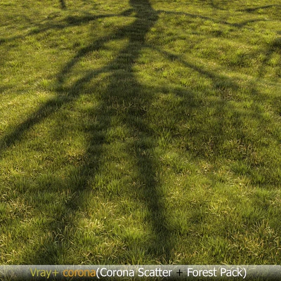 Grass Landscape — View 1