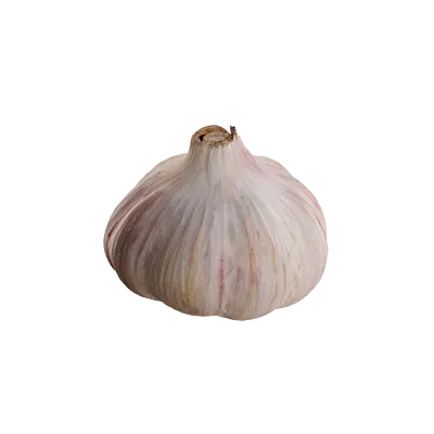 food vegetable garlic fresh 001 — Descargar