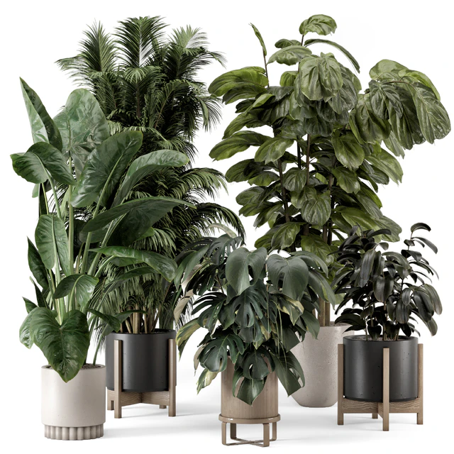 Indoor Plants in Ferm Living Bau Pot Large - Set 1361 — Descargar
