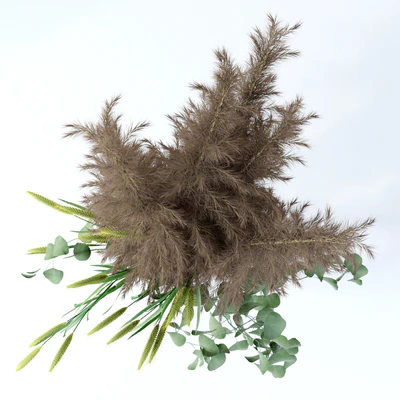 Pennisetum & Pampas grass & Eucalyptus — Ver 3