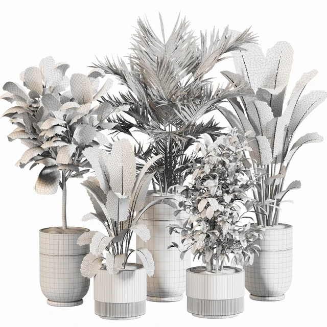 Indoor Plant Set 052 — Descargar