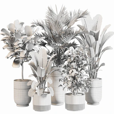 Indoor Plant Set 052 — Ver 3