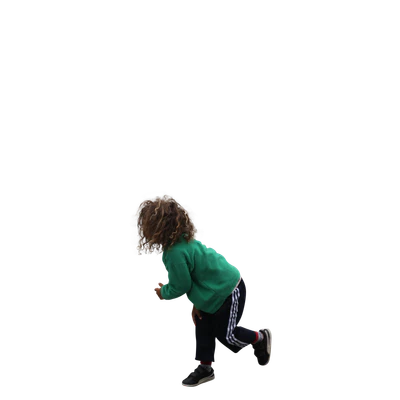 273 — Descargar