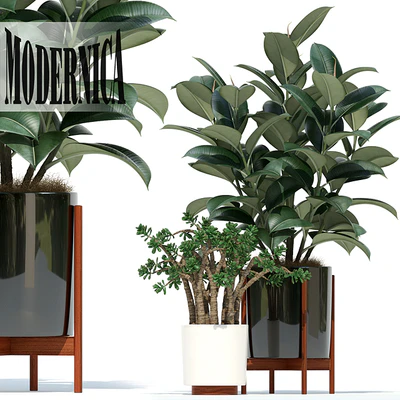 Plants collection 72 Modernica pots — Вид 1