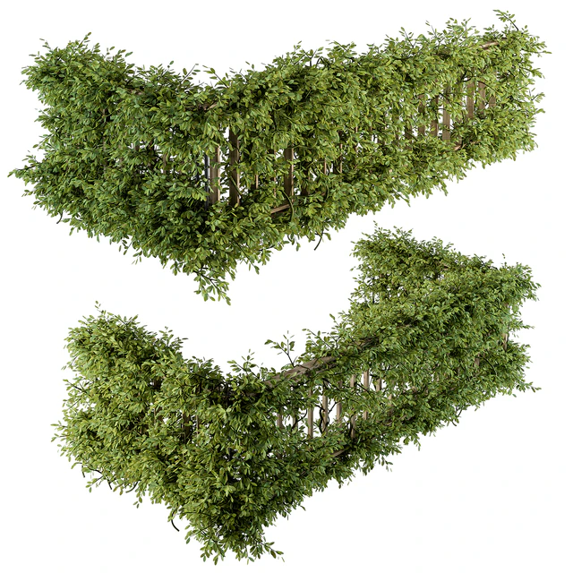 Outdoor Wood Fence with Ivy Plants - Fence 07 — Скачать