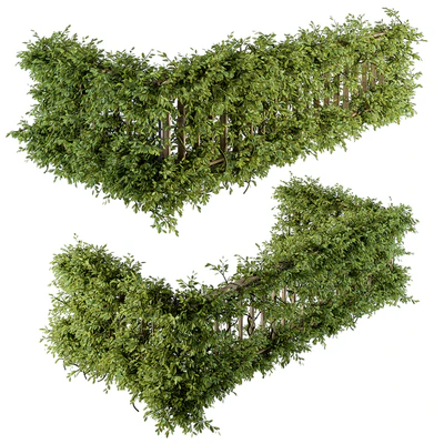 Outdoor Wood Fence with Ivy Plants - Fence 07 — Вид 4