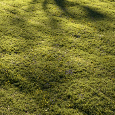 Grass and Flower — Вид 3