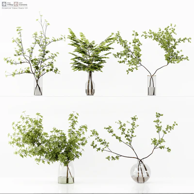Collection Indoor Plants 037 — Ver 1