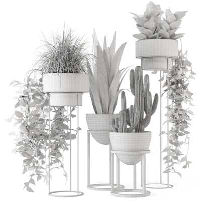 Indoor Plants in rusty Concrete Pot on Metal Shelf - Set 327 — Ver 4