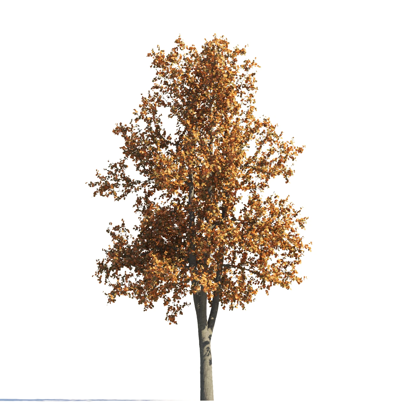 027 autumn — Скачать