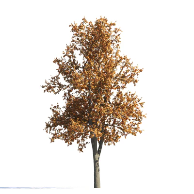 027 autumn — Скачать